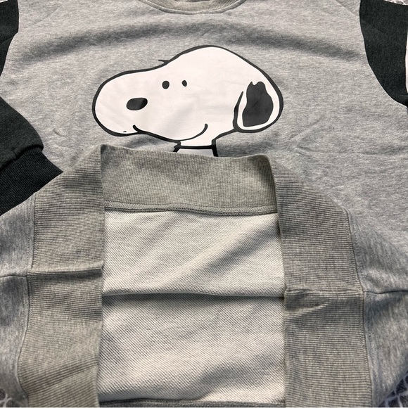 Snoopy & Woodstock Gray 4-bar Pullover Sweatshirt - Picture 6 of 7
